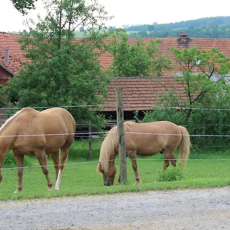 Ferienwohnung Ziegler Ebersburg Buitenkant foto