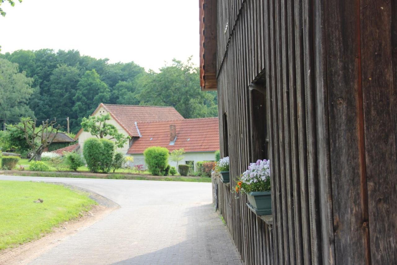 Ziegler Appartement